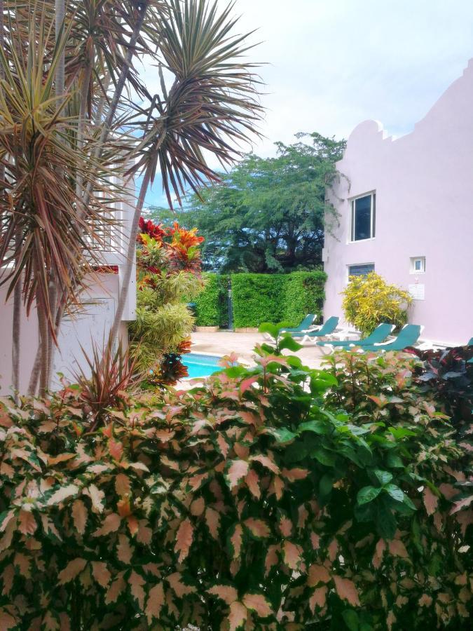Agua Clara Eco Suites Oranjestad Buitenkant foto